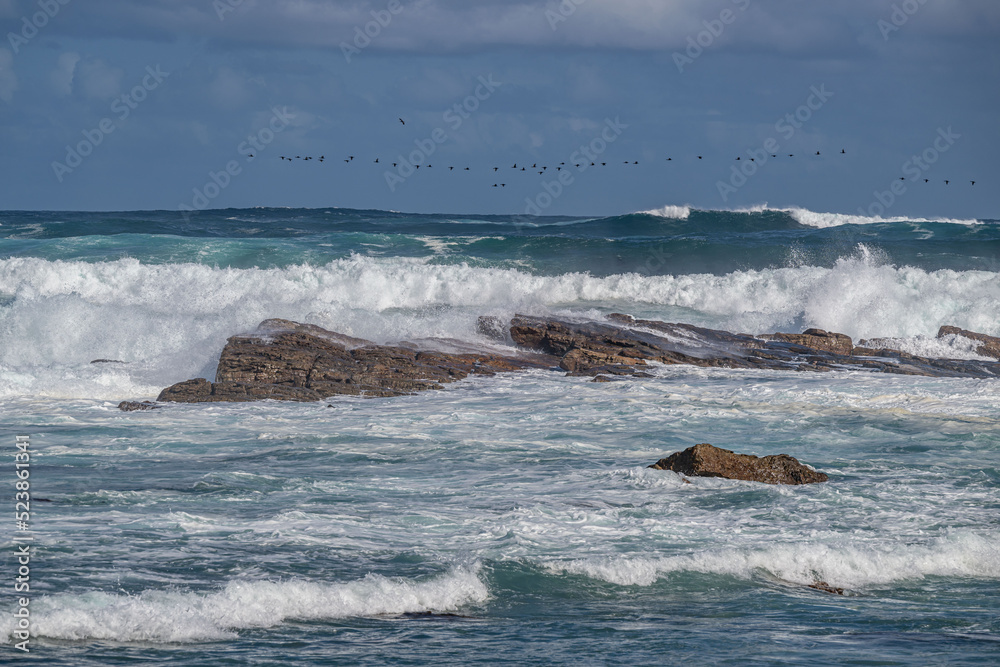 Obraz premium cape of good hope