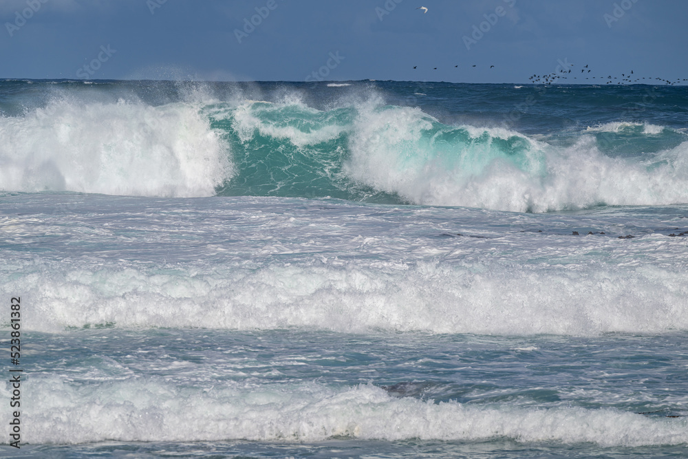 Fototapeta premium cape of good hope