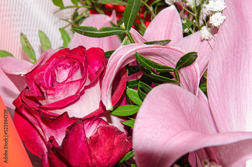 Close-up of a pink rose on a dark green background.