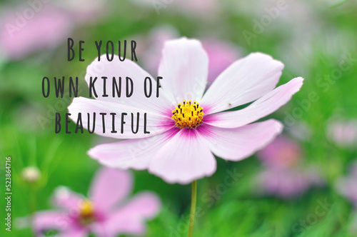 Inspirational quotes on flower background with text Be your own kind of beautiful.
