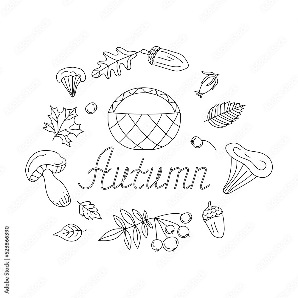 Set of vector icons in doodle style. Isolated design elements, basket, mushrooms, berries and leaves. Isolated background. 