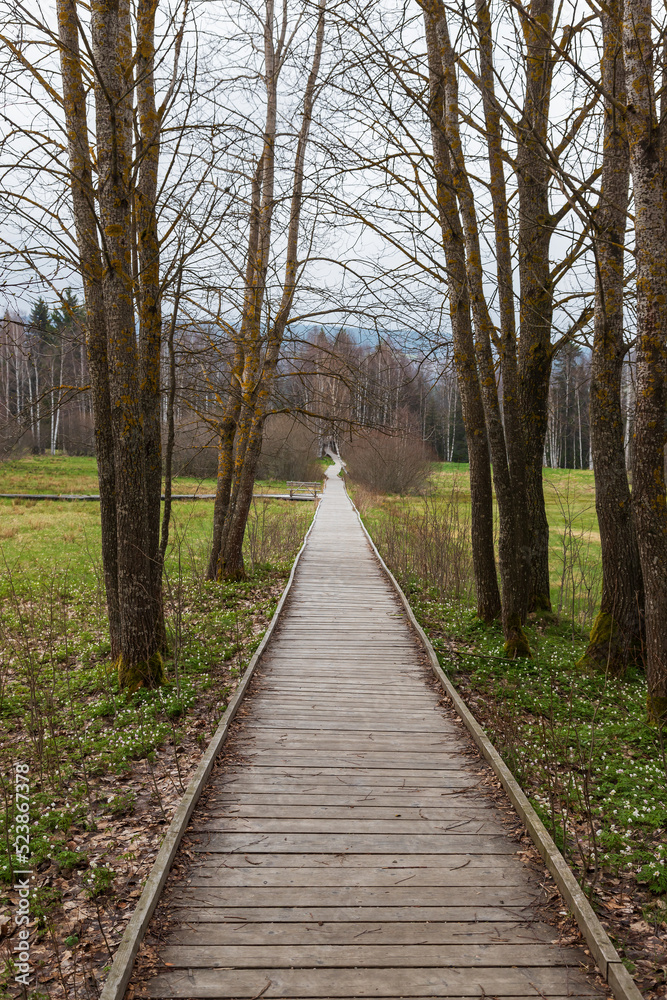 Sumava protected landscape area in the Czech Republic in Europe. Area Chalupska slat - forests, meadows, path to slat.