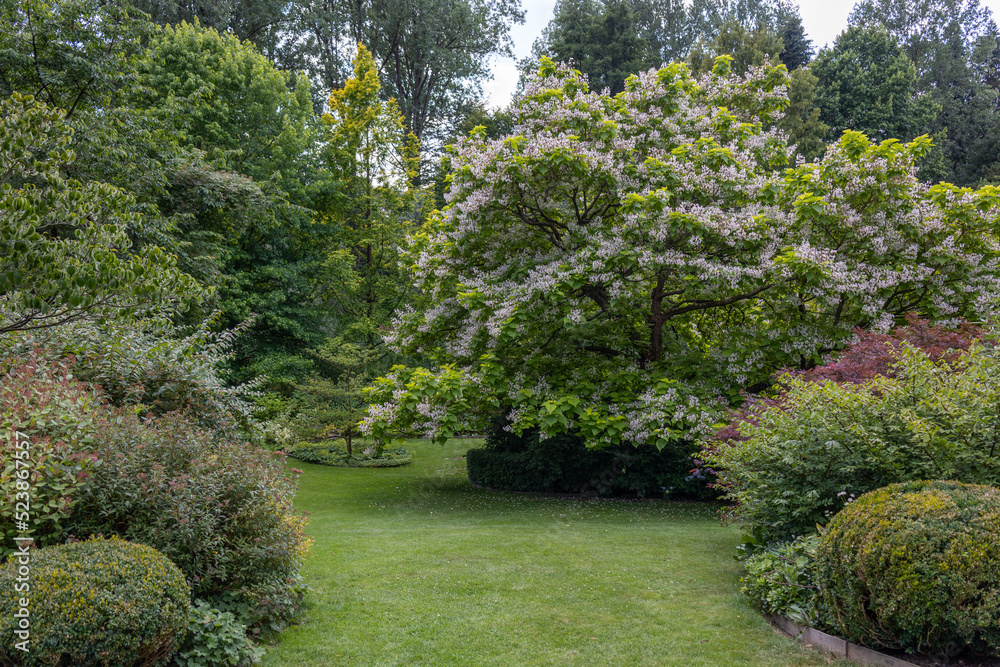 Green garden with multpiple type of trees, plants and flowers during the summer season
