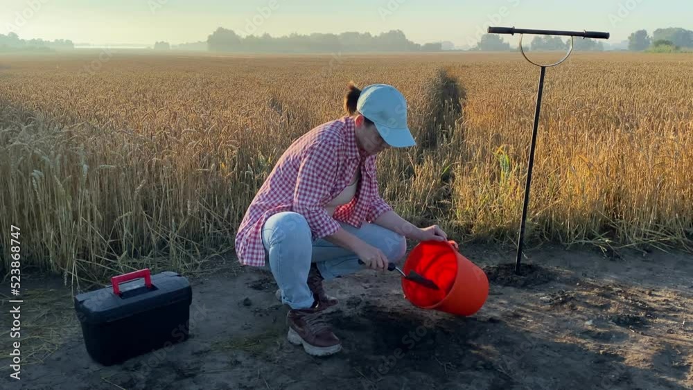 Female agronomist taking sample with garden tool, putting soil to bucket at agricultural grain field at dawn. Woman farmer performing soil sampling for fertility analysis outdoors. Soil certification