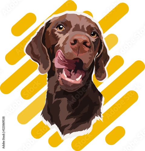 Chocolate Labrador puppy on a colored background. Portrait. Vector illustration