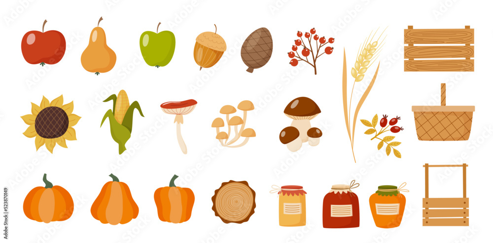 Autumn collection of elements for your design with different harvest elements. Vector flat style illustration