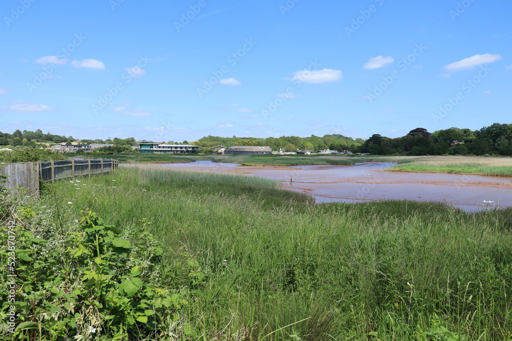 Panoramic shot of the bird sanctuary on the River Exe near Topsham in Devon, England