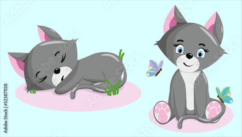 Cute sitting and sleeping kitten. Little funny cats