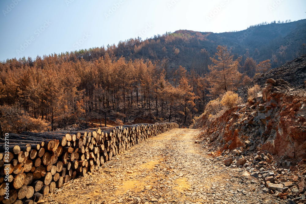 Marmaris, Mugla, Turkey – August fires. View near the suburbs of Icmeler Hill in Marmaris, Turkey, after the July-August wildfires. The consequences of the fire.