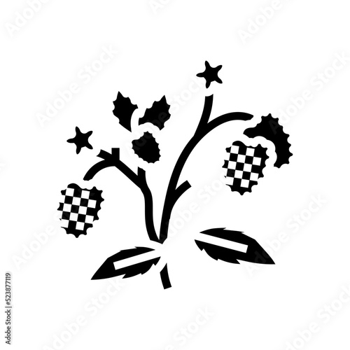 berries plant raspberry fruit glyph icon vector illustration
