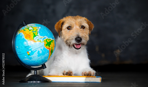 dog and globe and school