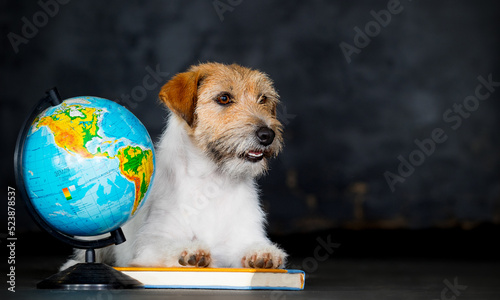 dog getting ready for school teaches geography on the globe