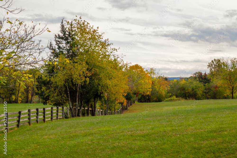 Fence line with trees in autumn or fall. Fence line with trees in autumn or fall.