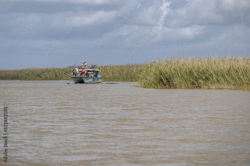 Fototapeta premium creative