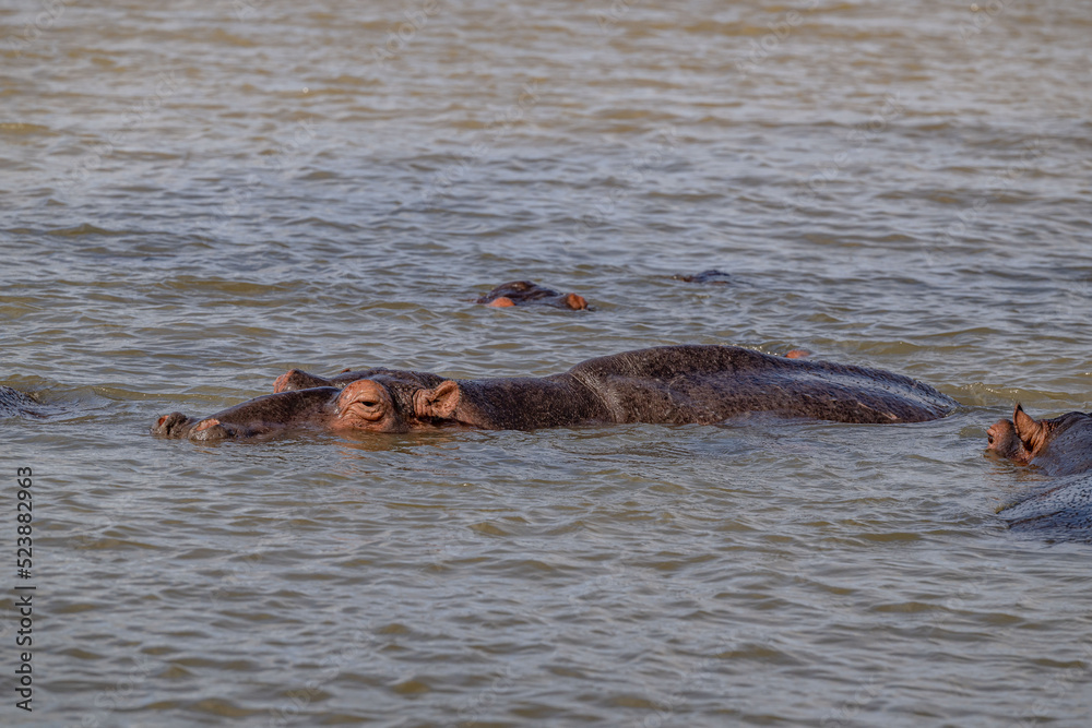 Obraz premium creative