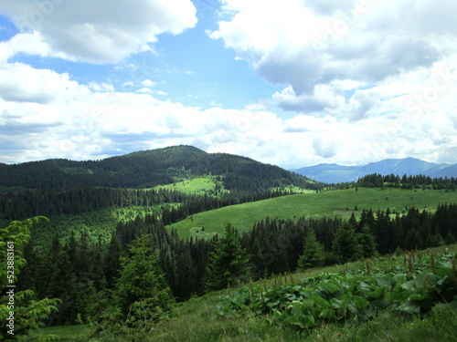 Alpine meadows in the mountains