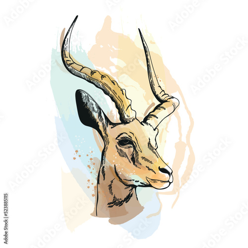 Hand drawn sketch style gazelle isolated on the white background. Vector illustration.