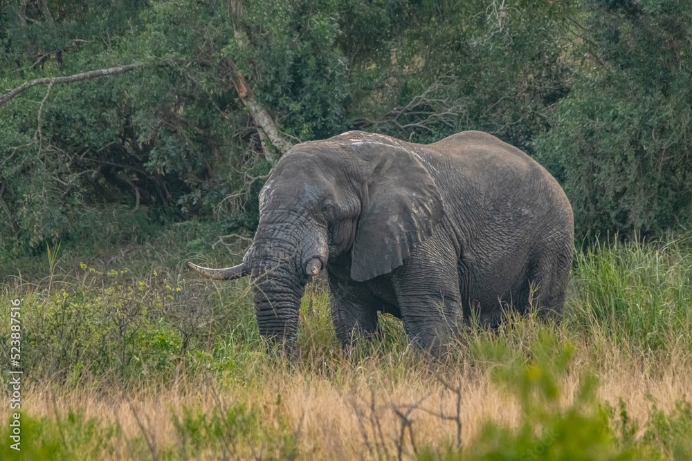 Obraz premium creative