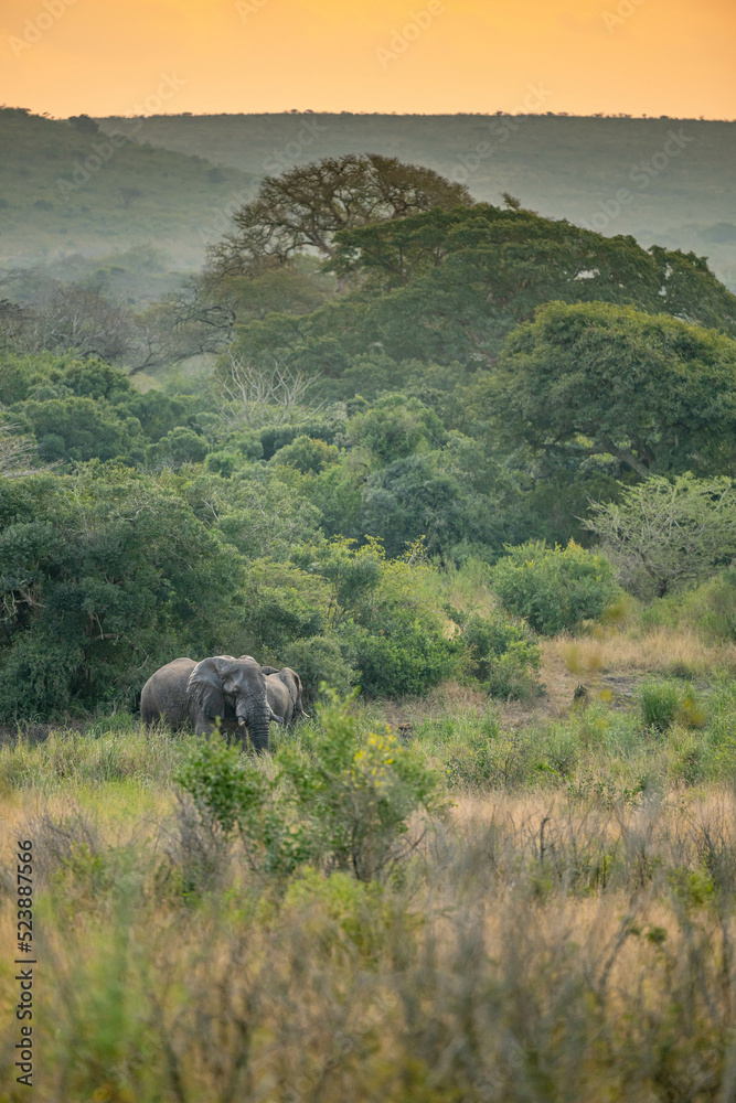 Fototapeta premium creative