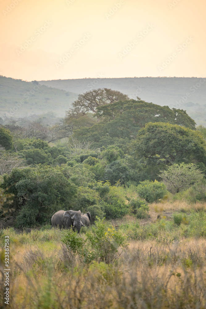 Obraz premium creative