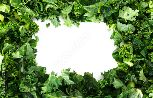 White Blank Kale Vegetable Frame
