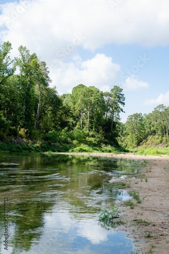 Texas Creek in the Pineywoods of North Houston photo