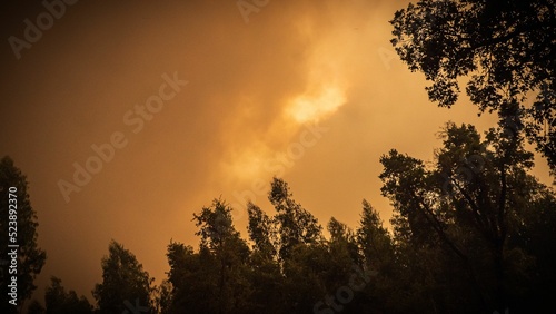 Forests in Pedrogao Grande area in Portugal during wildfires photo