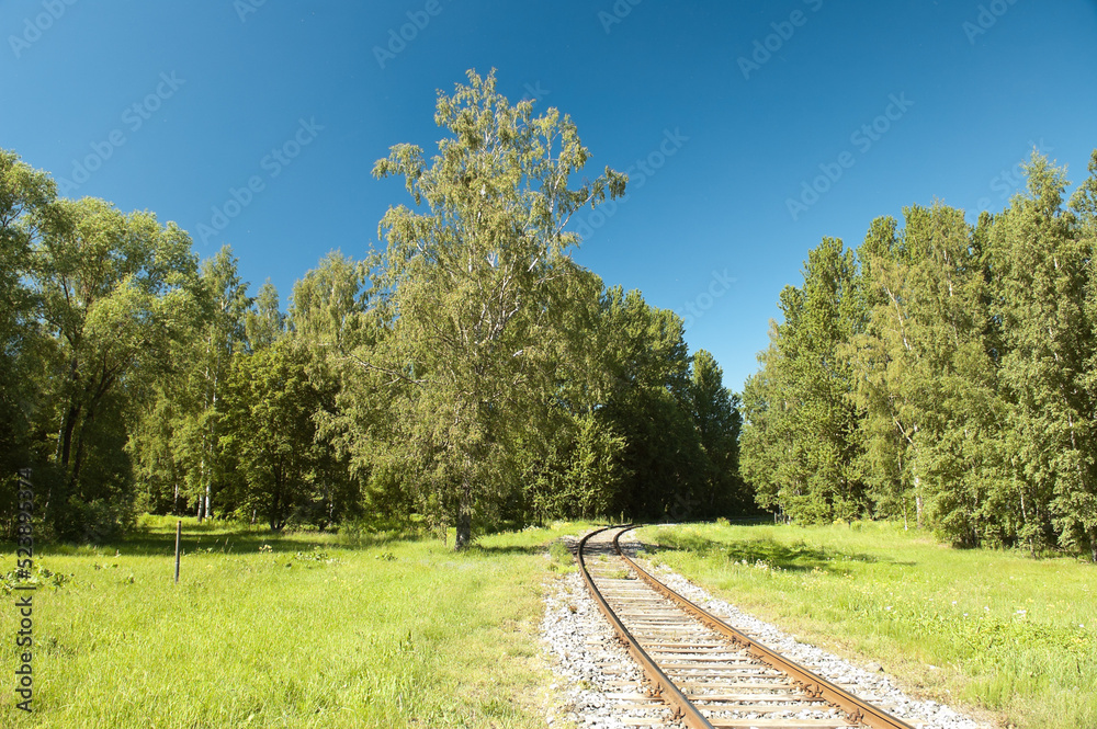 a single-track old railway in a green forest against a blue sky a single-track old railway in a green forest against a blue sky