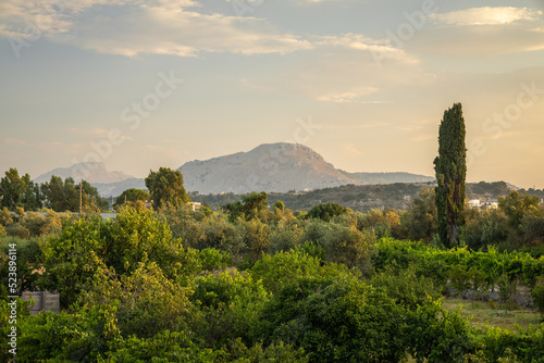 A landscape view of the interior of the Rhodes island with mountains on a background, Greece, Europe.