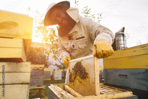Canvastavla The beekeeper works to collect honey. Beekeeping concept.