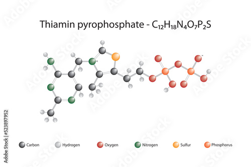 Molecular formula and chemical structure of thiamin pyrophosphate photo