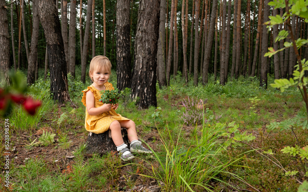 The baby sits in the forest on a stump and eats lingonberries