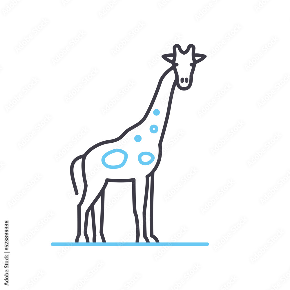 Fototapeta premium giraffe line icon, outline symbol, vector illustration, concept sign