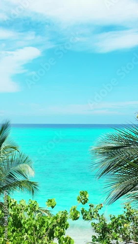 Vertical aerial footage of a blue seascape and tropical vegetation in summer in sunlight photo