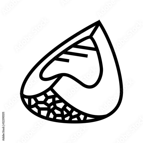 cut melon yellow line icon vector illustration