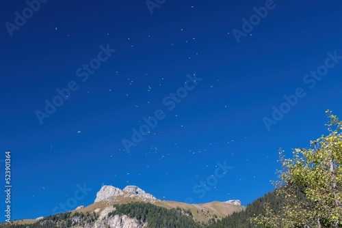 Low angle shot of a paraglider flying over the Alps in Canazei, Italy photo