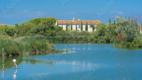 Typical mediterranean house in Camargue