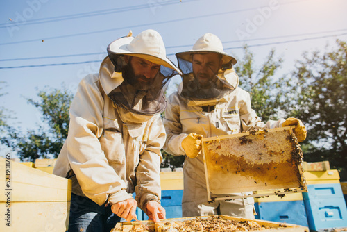 Two beekeepers works with honeycomb full of bees, in protective uniform working on a small apiary farm, getting honeycomb from the wooden beehive. Apiculture. Experience transfer concept