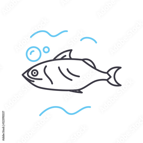 mackerel line icon, outline symbol, vector illustration, concept sign