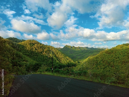 Beautiful view of an empty road surrounded by green trees in a mountainous landscape © Wirestock Creators