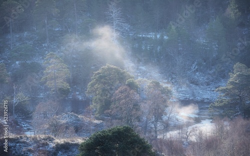 River Fog in the Caledonian Forest photo