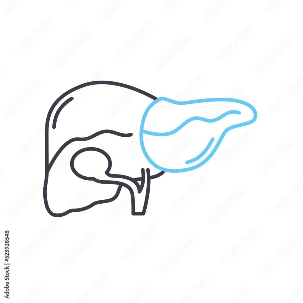 liver line icon, outline symbol, vector illustration, concept sign liver line icon, outline symbol, vector illustration, concept sign