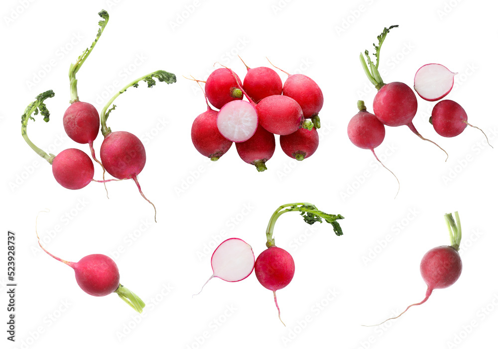 Set with fresh ripe radishes on white background Set with fresh ripe radishes on white background