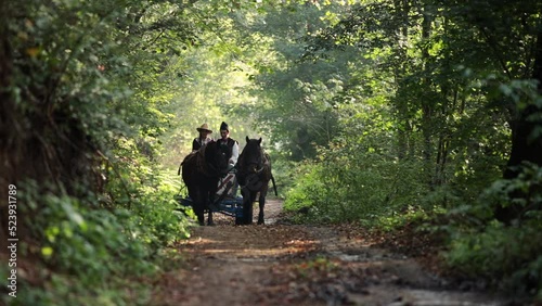 Romanians riding a horse-drawn cart 5 photo