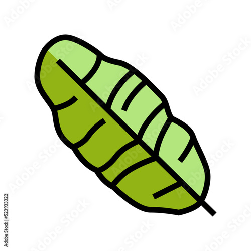 leaf banana color icon vector illustration