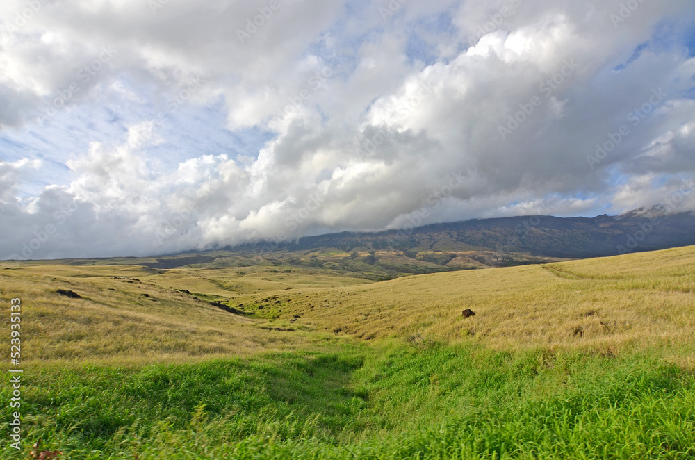 Southeast Maui past Hana on the backside of Haleakala Crater in Hawaii
