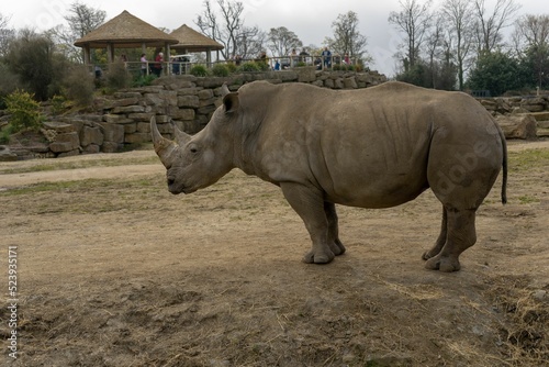 Animals in captivity Dublin Irel photo