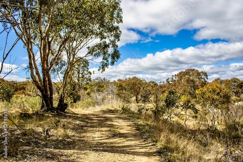 Dry bushlands and swamps in the rural areas of Emmaville, New South Wales, Australia photo