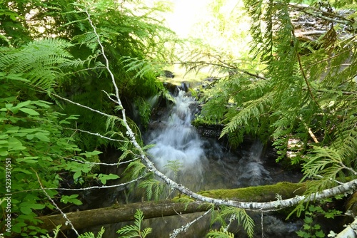 Wicky Creek in Mount Adams, Washington photo