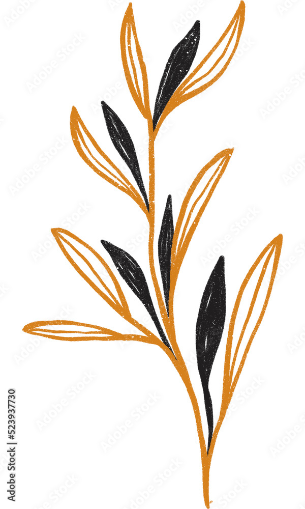 autumn leaves isolated on white background